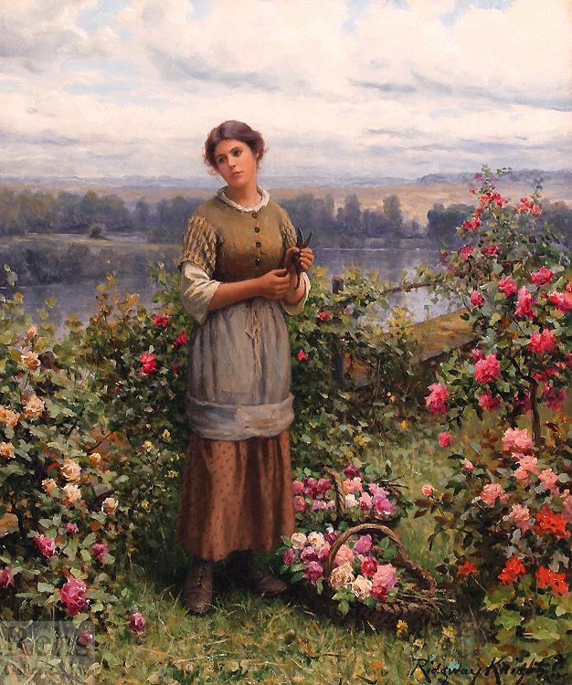 Daniel Ridgeway Knight Julia Gathering Roses France oil painting art